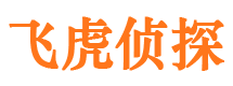 南湖市侦探公司